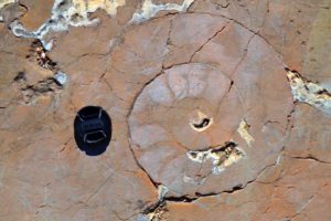 Geoparque de las Sierras Subbéticas Ammonites en el pulido del suelo