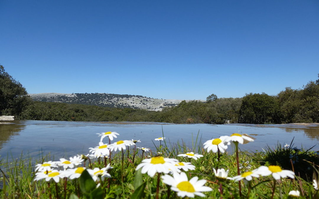 Geoparque de las Sierras Subbéticas