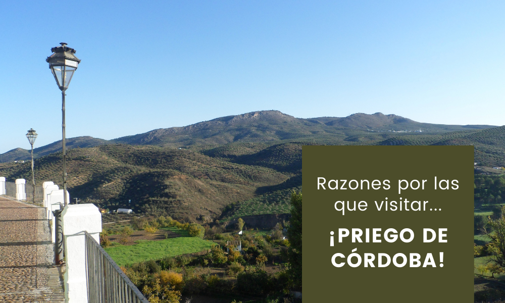 Razones por las que visitar… ¡Priego de Córdoba!