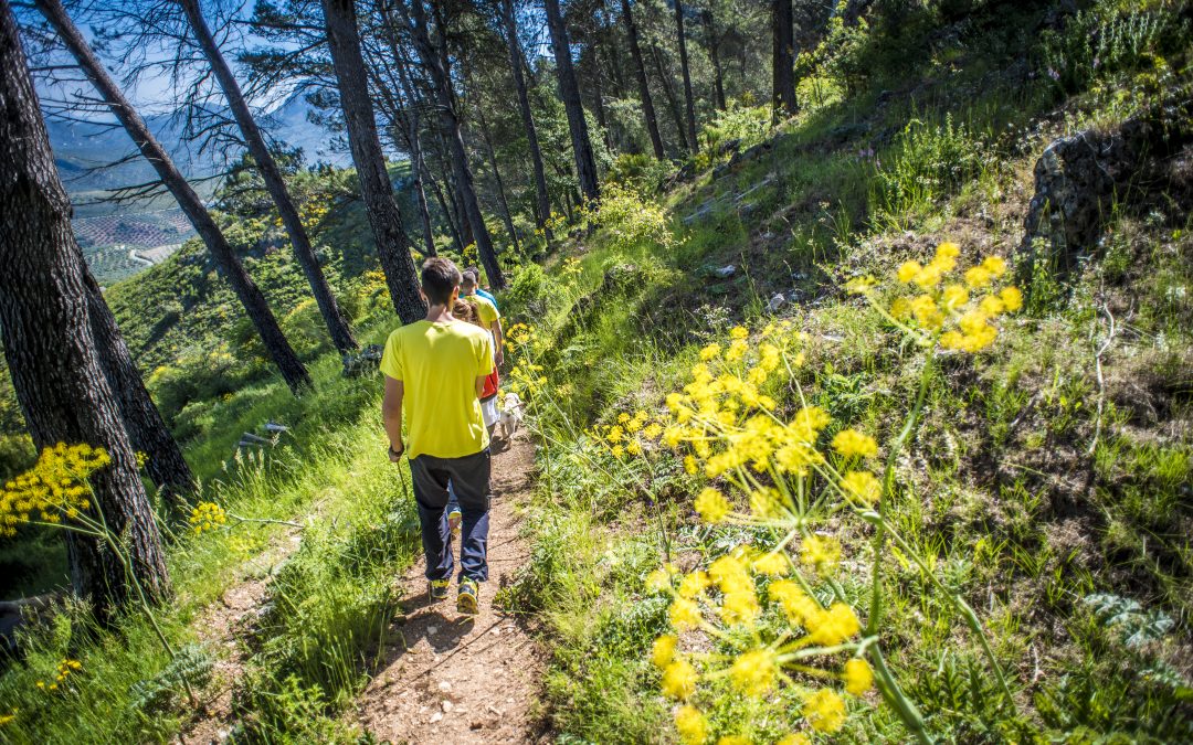 25 active escapes for autumn: #17 Walking Cordoba to Granada