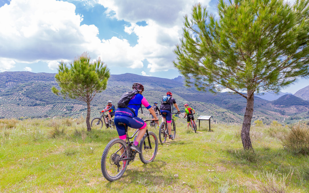 Fietsen langs olijfolieroutes en natuurpark Sierra Subbetica