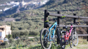 olivos-y-bicis