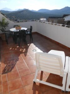 lirio azul 3