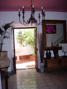 lirio azul 4