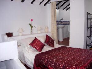 lirio azul 5