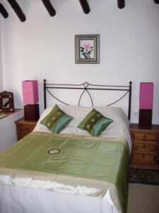 lirio azul 9